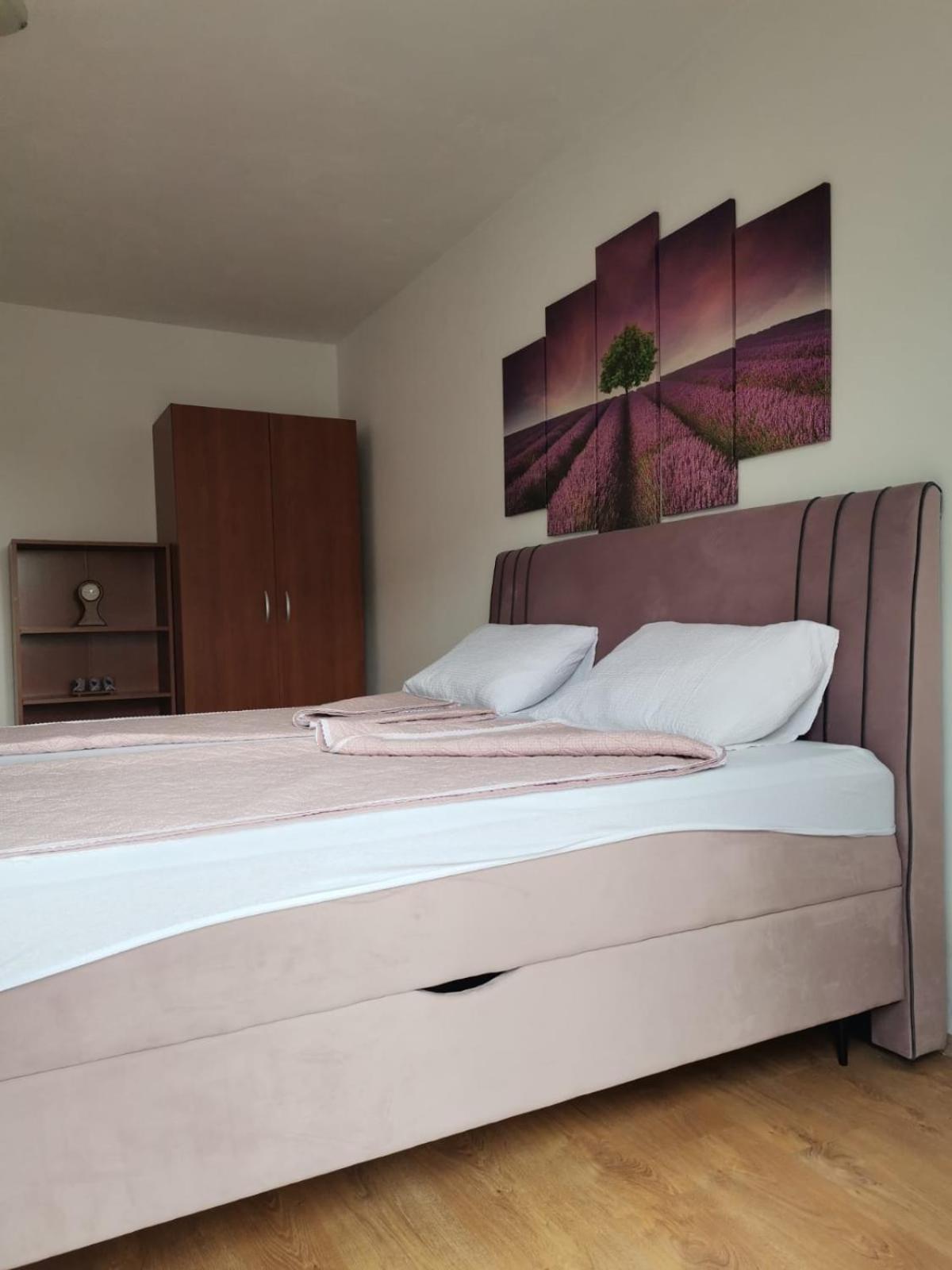 Apartman Franc 扎达尔 外观 照片